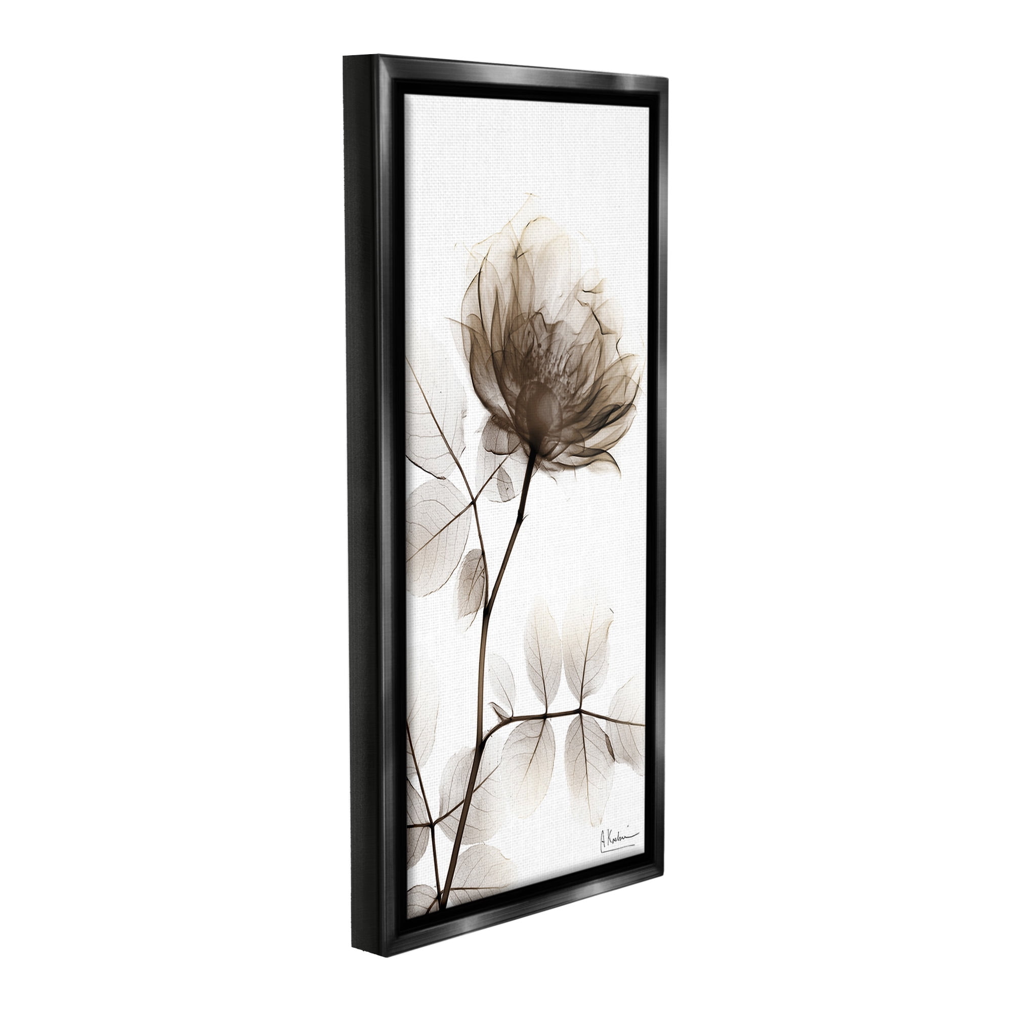 Stupell Industries Contemporary X-Ray Flower Botanical & Floral Photography Black Floater Framed Canvas Art Print Wall Art, 11 x 25