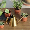 thumbnail image 4 of 400ml Stainless Steel Watering Can with Long Spout for Flowers and Garden Plants, 4 of 4