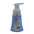 thumbnail image 3 of Jabón en espuma para manos Equate antibacterial spring showers 221 ml, 3 of 4