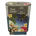 thumbnail image 2 of Air Fresh Air Wick Style Candle 3Oz Sunny Breeze Tumb (Pack of 2), 2 of 2
