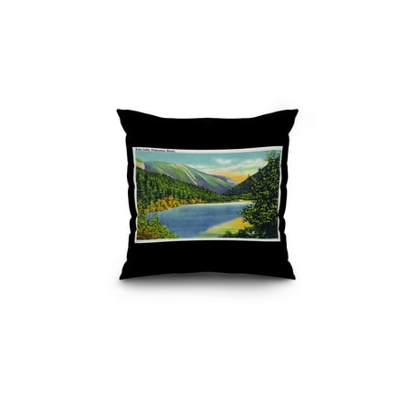 Echo Bedding Pillows Franconia Notch, New Hampshire - View of Echo Lake (16x16 Spun Polyester Pillow, Black Border) ()