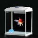 thumbnail image 2 of FESTFENDS Adorno De Coral Azul Para Acuarios Con Natural Y Base Para, 2 of 7