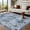 Indigo, variant on 8x10 Ft Vintage Floral Print Rug, Non-Slip, Washable, Stain-Resistant, Low Pile Carpet for Living Room/Bedroom/Kitchen (Gray)