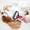 Red, variant on Deshedding Brush for Dogs and Cats: Undercoat Rake Pet Brush for Long Hair - Dematting Comb Removes Tangles Knots and Loose Fur, Grooming Tool for Thick Coats
