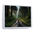 thumbnail image 2 of Designart "Olympic Greenery Forests of Olympic National Park II" Landscapes Floater Framed Canvas Art Print, 2 of 7