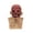 Peeled Skin Zombie, variant on Scary Zombie Latex Mask, Realistic Bloody Demon Full Head Mask for Halloween Cosplay Costume
