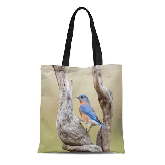 SIDONKU Canvas Tote Bag Blue Male Eastern Bluebird on Driftwood in Louisiana Reusable Shoulder Grocery Shopping Bags Handbag