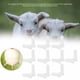 thumbnail image 5 of Bebida especial de leche de cabra 10 Uds Especial de cordero blanco para cabras ovejas leche de vaca bebida para cabras ANGGREK Otros, 5 of 8