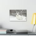 thumbnail image 3 of Majestic Snow Hare Art Majestic Snow Hare Print Animal Wall Art Wildlife Canvas Prints Wall Art Ready to Hang Unframed, 3 of 18