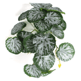 thumbnail image 2 of Una variedad de plantas de simulación opcionales, mini hojas de tortuga, impresión 3D, goma de mascar, hojas de sandía, decoración del hogar, planta verde en maceta, 2 of 6