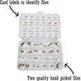 thumbnail image 3 of Smitty's Fly Box | Euro Box | 48 Essential Trout Euro Nymphs| Assortment of Euro Nymphs, Czech Nymphs, and Perdigons, 2 Each of 24 Assorted Tungsten Flies for Fly Fishing | (Euro Box), 3 of 9