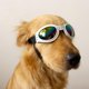 thumbnail image 2 of Gafas de sol para mascotas Yuyangstore protección Ocular 6 colores, 2 of 8