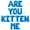 Blue, variant on Letter Balloons - ARE YOU KITTEN ME 16" Inch Alphabet Letters Foil Mylar Balloon Birthday Party Banner (Gold)