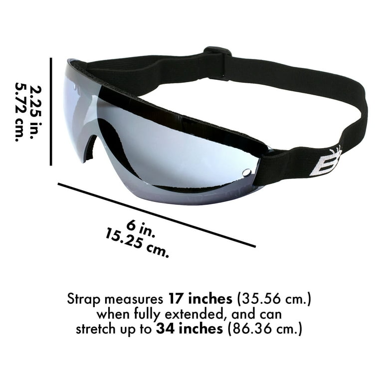 Birdz Eyewear Wing Skydiving & Motorcycle Goggles (Blue Lens)