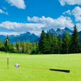 thumbnail image 4 of Entrenador de swing de golf Shamjiam Amarillo, 4 of 8