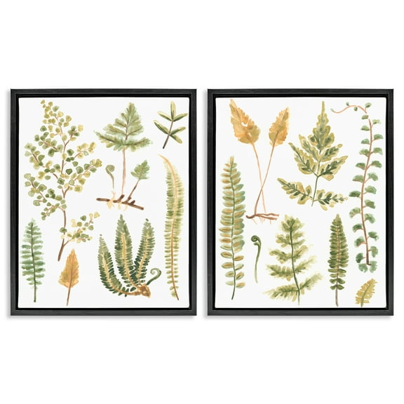 Stupell Industries Watercolor Fern Leaves Plants & Flowers Painting Black Floater Framed Canvas Art Print Wall Art, 17 x 21, Set of 2
