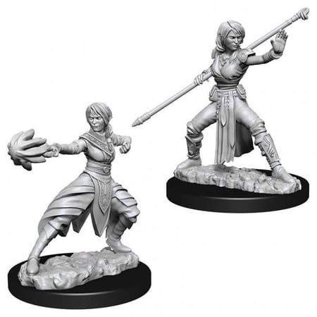 Dungeons and Dragons: Nolzur's Marvelous Unpainted Miniatures Female Half Elf Monk