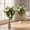 White 85cm 2pcs, variant on Lifelike Artificial Camellia Tree for Home Decor – 3FT White Faux Plant with 16 Blooms in Pot – Realistic Greenery for Indoor Outdoor Office Patio Wedding – Eco-Friendly Stem