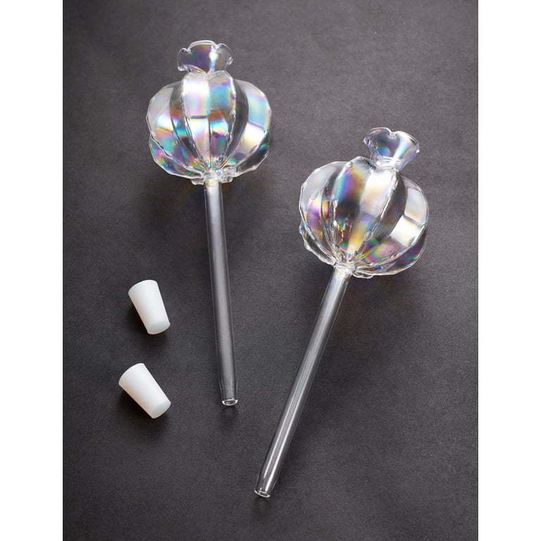 NiHome Glass Cactus Self-Watering Globes, 2-Pack photo 7