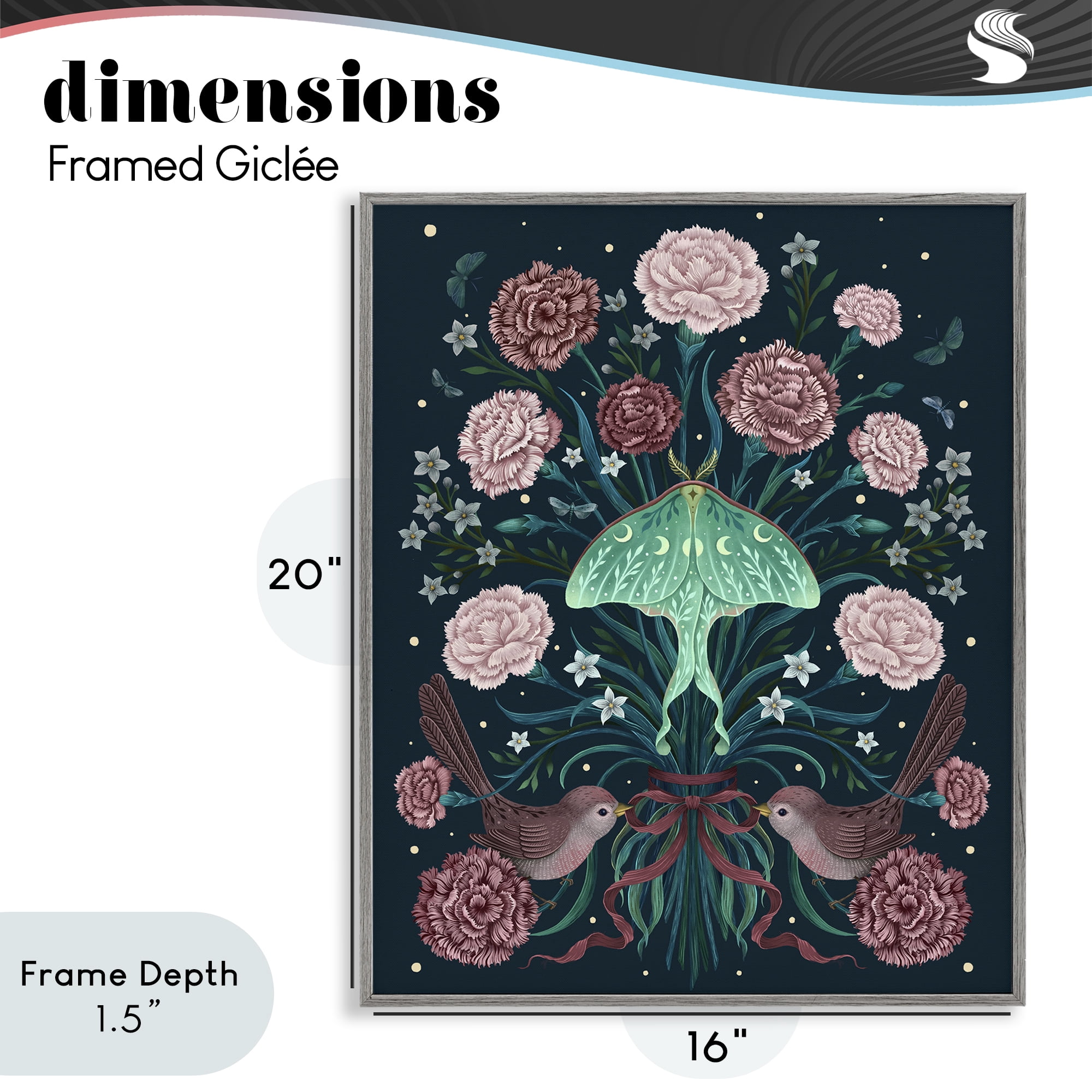 Stupell Industries January Carnations & Moth Gray Framed Giclee Art, design by Episodic Drawings