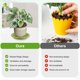thumbnail image 4 of Uxcell 2-Pack Bandeja para Plantas, 6.5 Pulgadas/16.5cm Bandejas de Plástico Más Gruesas para Macetas/Interior/Exterior [Verde Manzana], 4 of 7