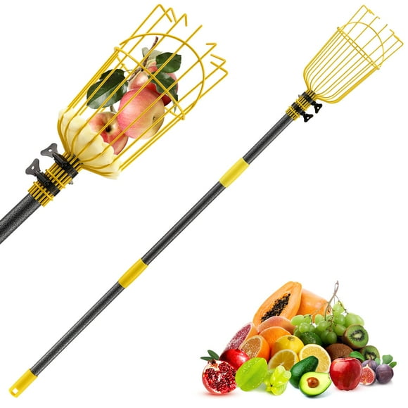 Récupérateur de Fruits pour Arbres, Outil Cueilleur de Fruits de 10 Pi, Cueilleur de Fruits Réglable avec Poteau et Grand Panier,