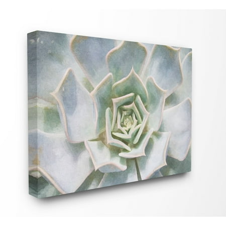 The Stupell Home Decor Collection Succulent Plant Gentle Morning Dew Painting Oversized Stretched Canvas Wall Art, 24 x 1.5 x 30