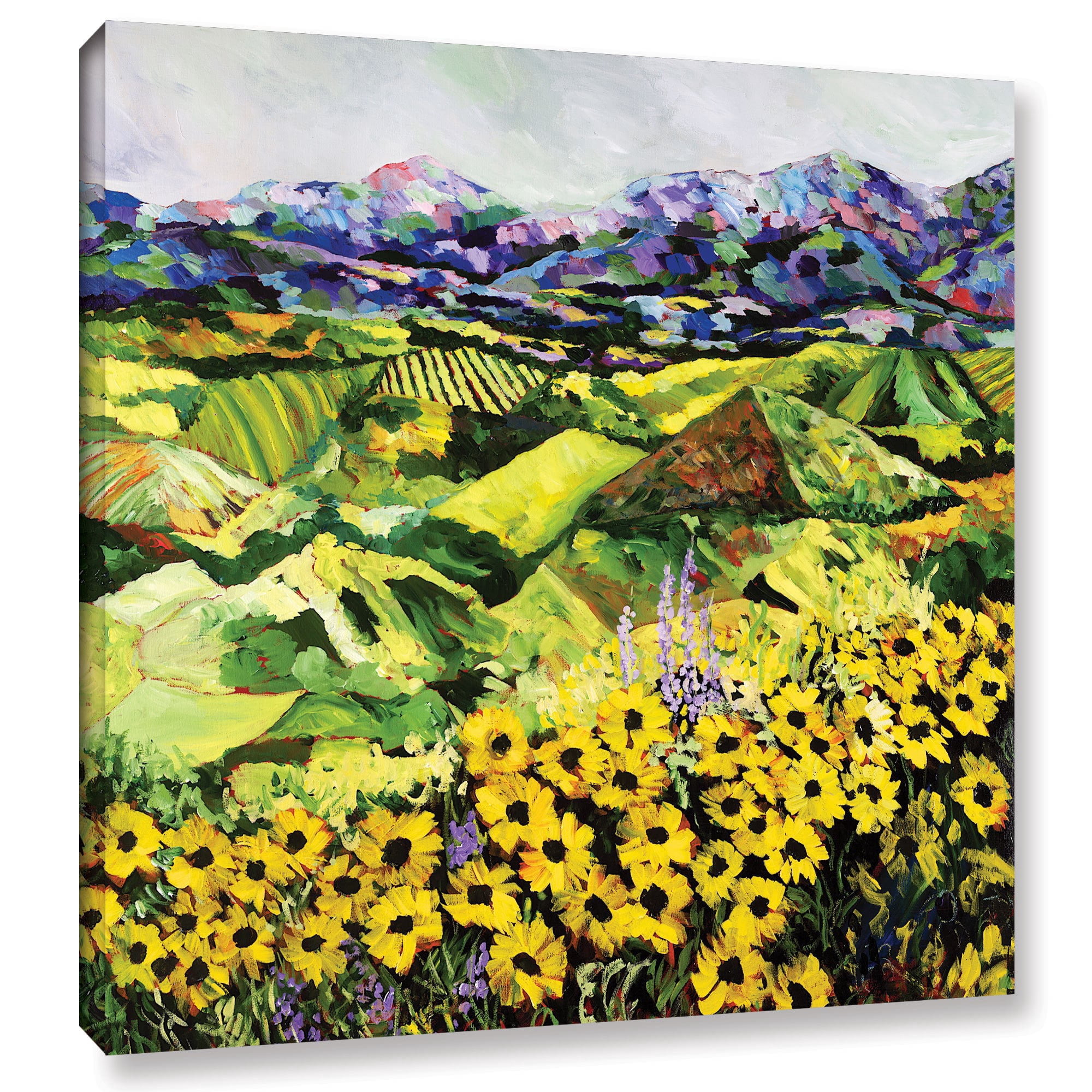 ArtWall Allan Friedlander "Sweet Bluff" Gallery-wrapped Canvas