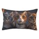 thumbnail image 1 of Balery Wide Eyed Cartoon Cats Funda de Cojín Estampada, Regalos para Mujeres, Regalos de Amor para Ella, Regalos para Novia o Esposa, Funda de Almohada-20"x30", 1 of 6