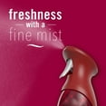 thumbnail image 4 of Febreze Air Mist, Odor-Fighting Air Freshener, Cranberry Crumble, 8.8 oz. Aerosol, Pack of 2, 4 of 11