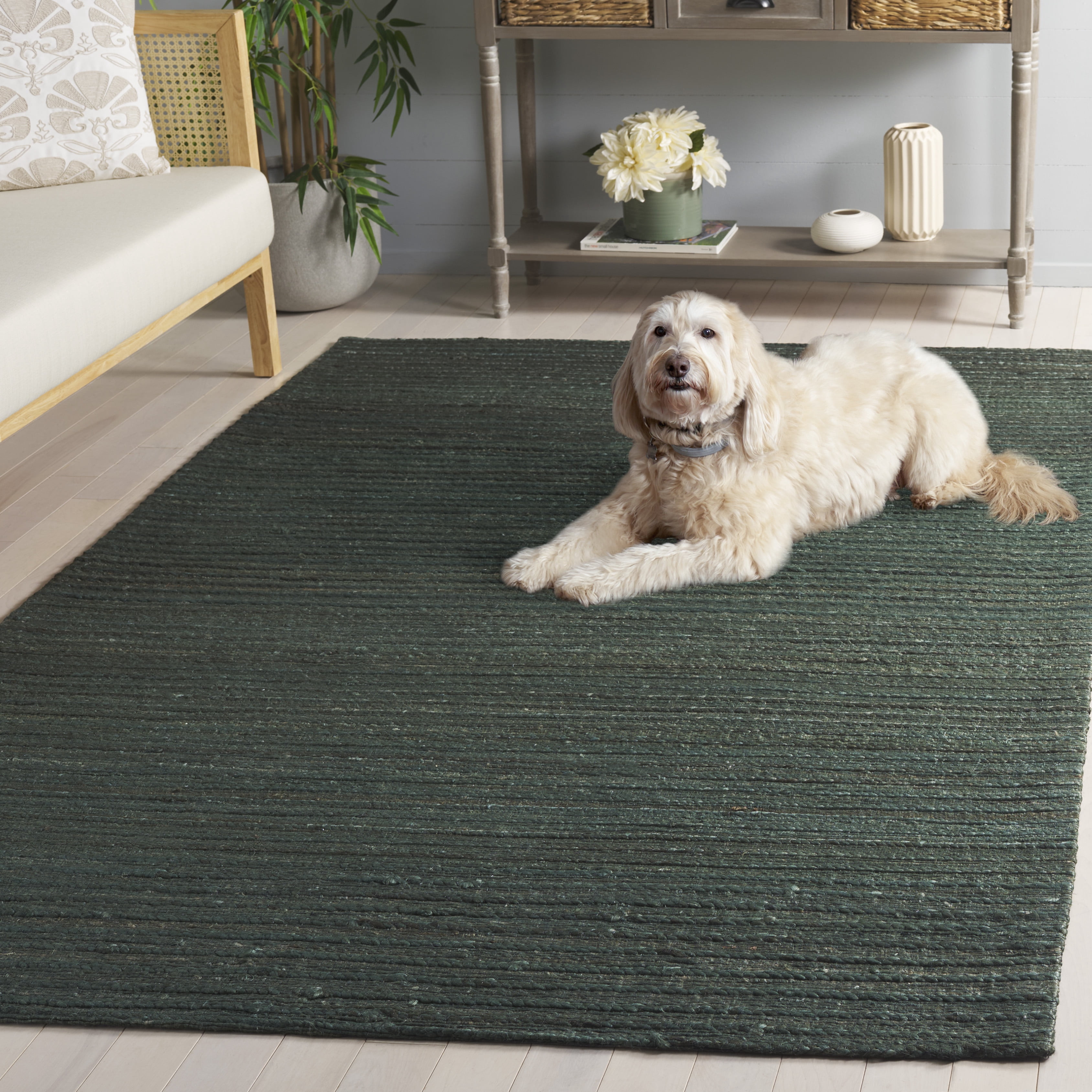 SAFAVIEH Cape Cod Eustacia Southwestern Area Rug, Sage/Natural, 9' x 12'