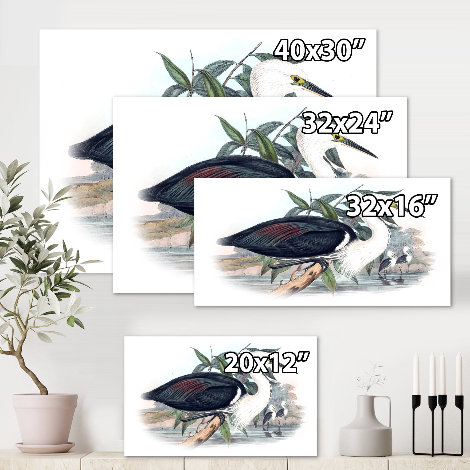 Designart ' Ancient Birds Of Australia ' Traditional Canvas Wall Art Print