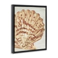 thumbnail image 3 of Stupell Industries Coastal Tan & Beige Clam Black Floating Frame Canvas Art, 17 x 21, by June Erica Vess, 3 of 8