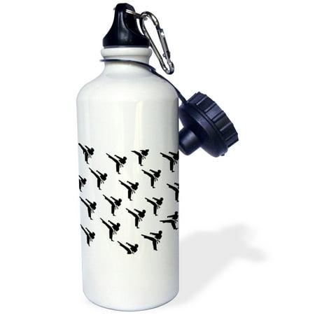 - 3dRose Print of Cartoon Karate Repeat Toss, Sports Water Bottle, 21oz