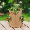 thumbnail image 4 of CreativeArrowy Planter Pot With Handles Garden Planting Grow Bag Breathable Nonwoven Fabric Visualization Pockets, 4 of 14