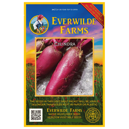 Everwilde Farms - 1000 Cylindra Beet Seeds - Gold Vault Jumbo Bulk Seed