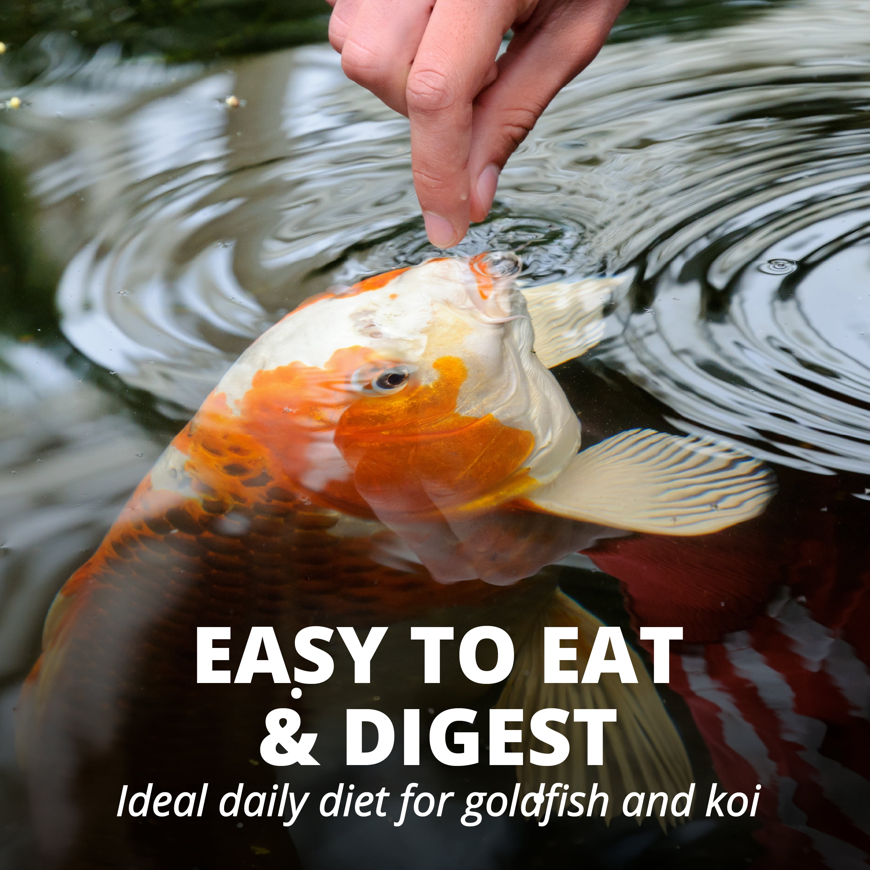 Tetra Pond Fish Food Premium Sticks Diet for Koi and Goldfish, 1.25 lbs
