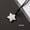 Howlite, variant on 1PC 3cm Natural Quartz Crystal Star Hand Carved Pendant Healing Reiki Necklace-Red Obsidian