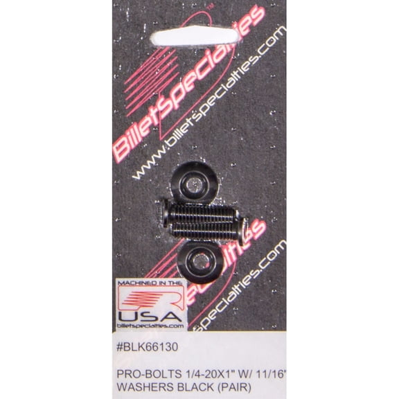 1/4-20 x 1in SS Bolts Black Pair