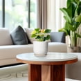 thumbnail image 4 of Ordivic 5-inch White Ceramic Round Planter with Drainage Hole and Saucer for Succulents and Cactus, 4 of 9