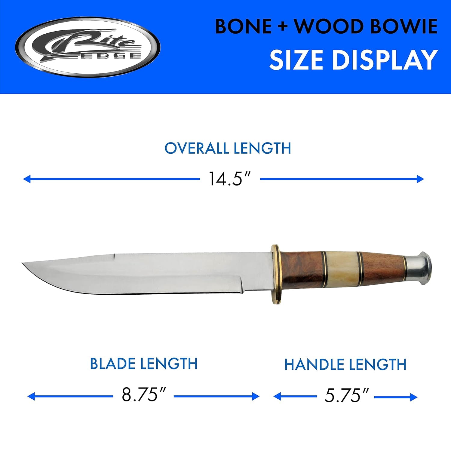 SZCO 10 Inch Fixed Blade Hunter Knife 5” Bone Wood Handle, Brass Guard & Pommel, Full Tang Outdoor Hunting Knife with Leather Sheath