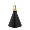 thumbnail image 3 of Noir Collection One Light Pendant, 3 of 8