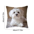 thumbnail image 3 of ddioayh Throw Pillow Cover Animal Print Soft Machine Washable 45x45cm for Sofa Chair Bedroom Home Decor Spring Easter Pet Theme Decorative Gift Idea, 3 of 6