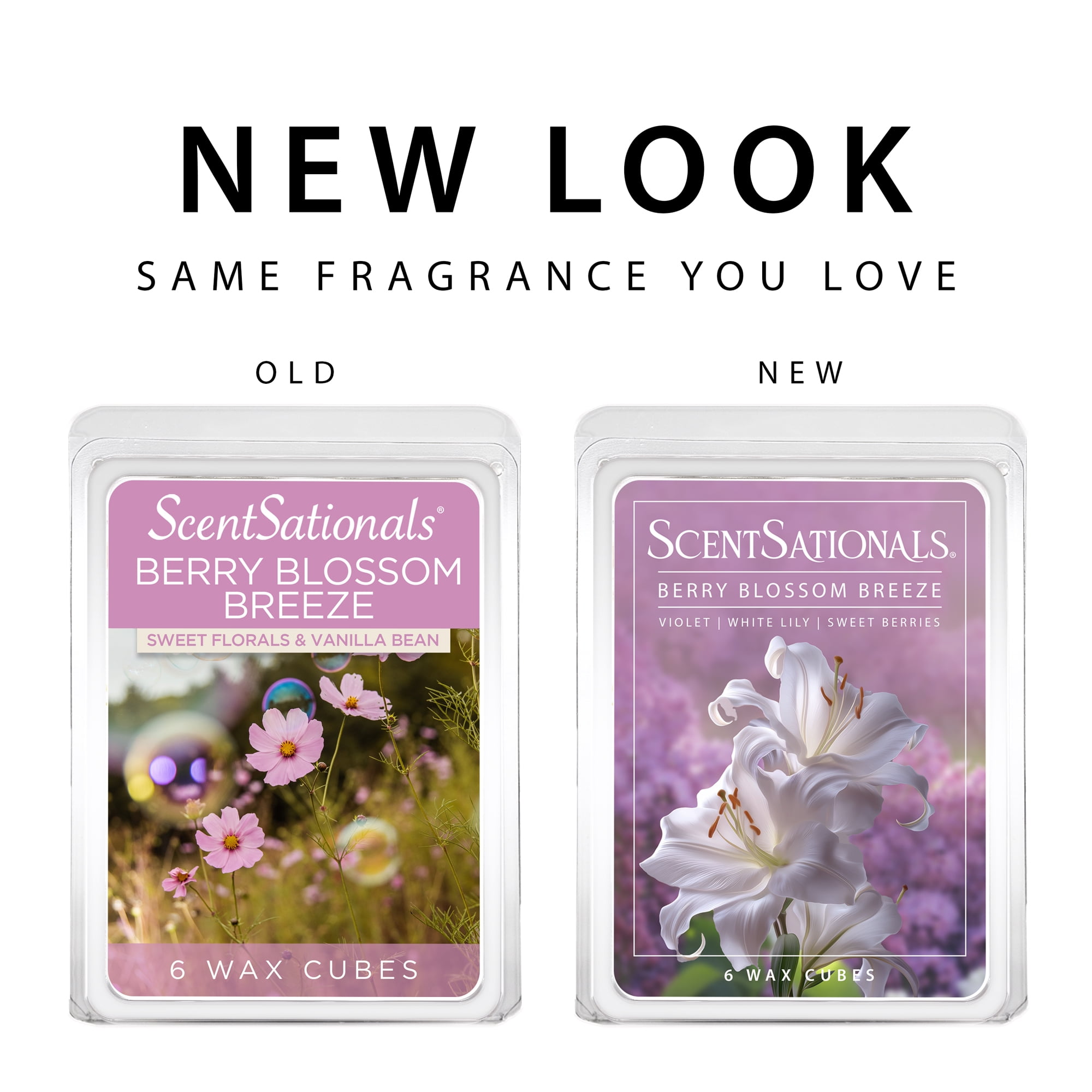 Berry Blossom Breeze Scented Wax Melts, ScentSationals, 2.5 oz