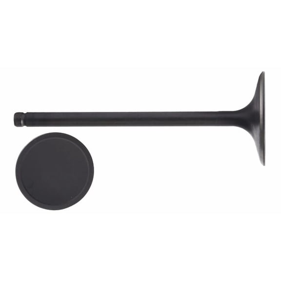 Single Intake Valve | Compatible with 2014-22 GM/Chevrolet 4.3L/262 and 5.3L/325
