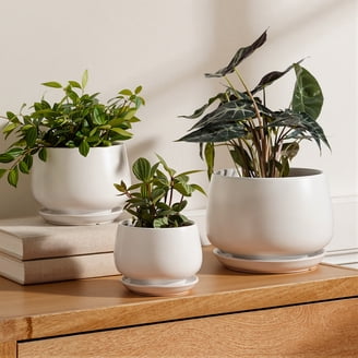 Better Homes & Gardens 12