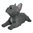 thumbnail image 5 of Realistic Lifelike Gray French Bulldog Puppy Sitting On Belly Figurine Frenchie, 5 of 9