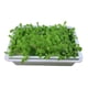 thumbnail image 4 of Plástico De Grado Alimenticio Crece Plántulas Plantas De Plantas De Bandeja De Semillas De La Planta De Propagación De La Planta Sunnimix Cultivar plántulas bandejas, 4 of 7