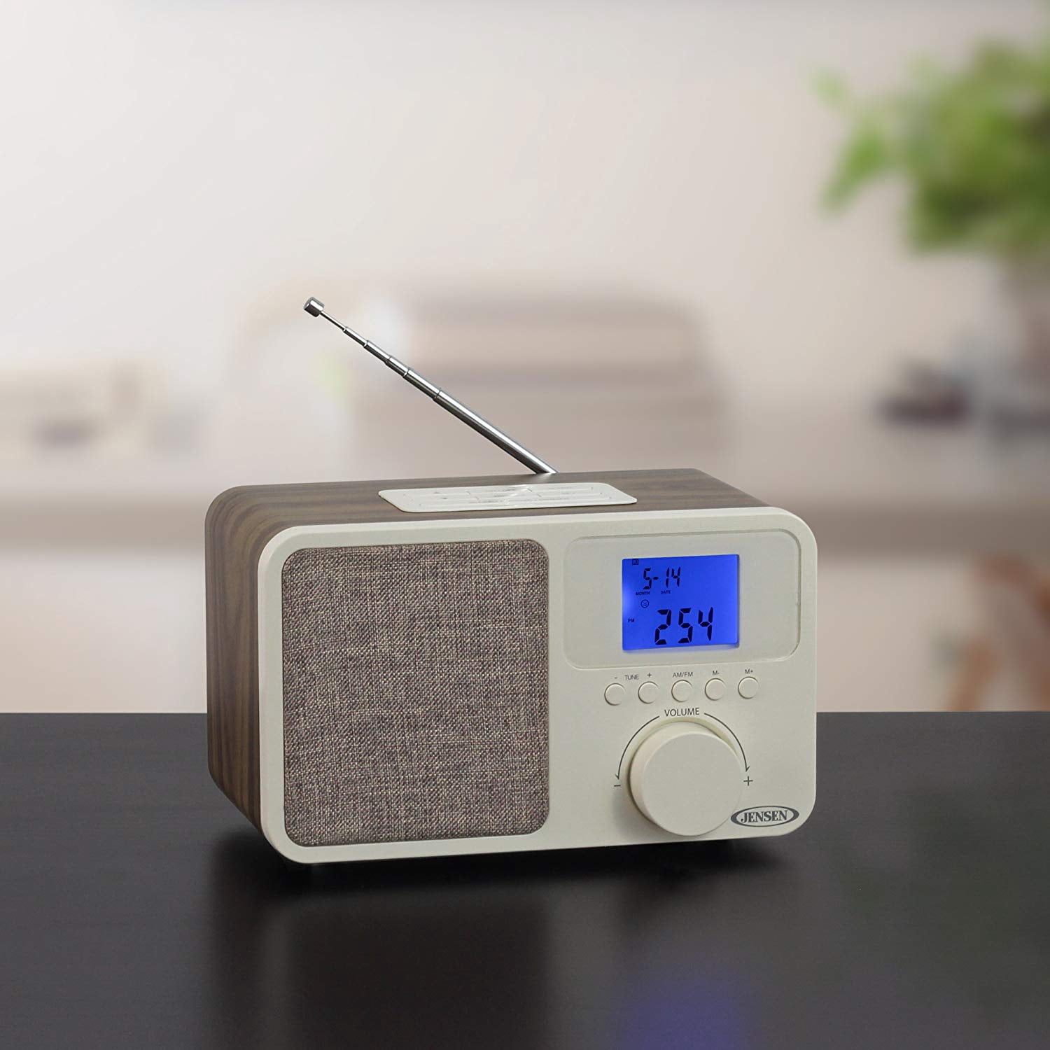 Jensen AM/FM Digital Dual Alarm Clock Radio with LCD Display, 1A USB Charging Port Plus 6ft Kubicle Aux Cable Bundle