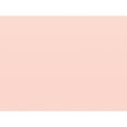 thumbnail image 3 of Teacher Created Resources Fun Size Better Than Paper Bulletin Board Roll, 18" x 12', Blush, Pack of 3, 3 of 3